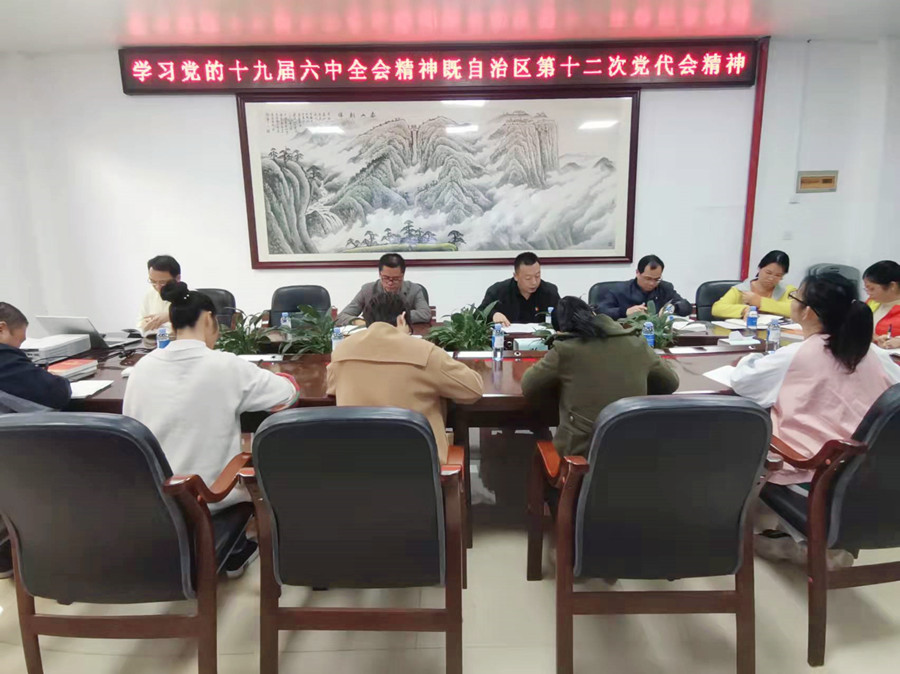 智鴻環(huán)保集團(tuán)黨支部舉辦學(xué)習(xí)貫徹十九屆六中全會精神暨自治區(qū)第十二次黨代會精神專題讀書會